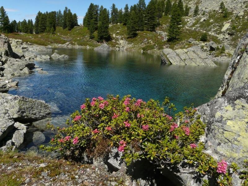 Pension Schoepf Arzl im Pitztal Exteriér fotografie